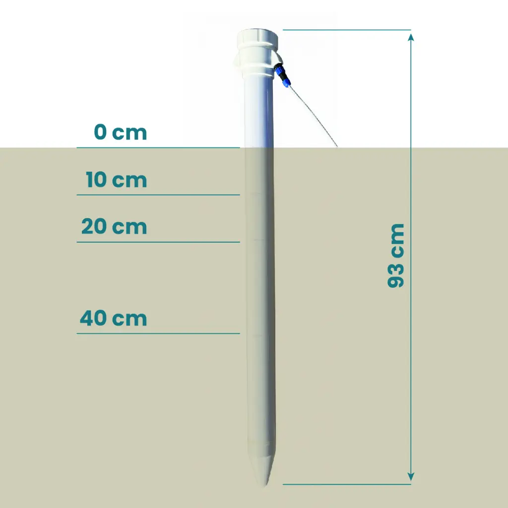 weboldal - segéd _soil1.webp