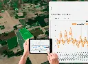 graphical display-02.webp