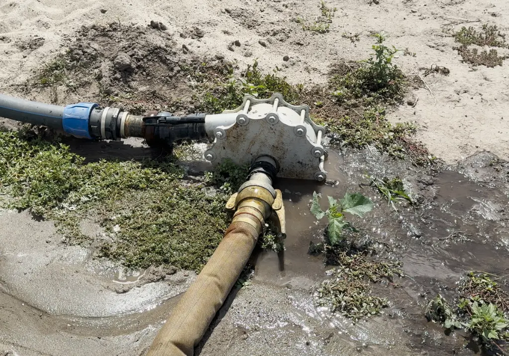 Képernyőkép 2025-08-11 132202.webp