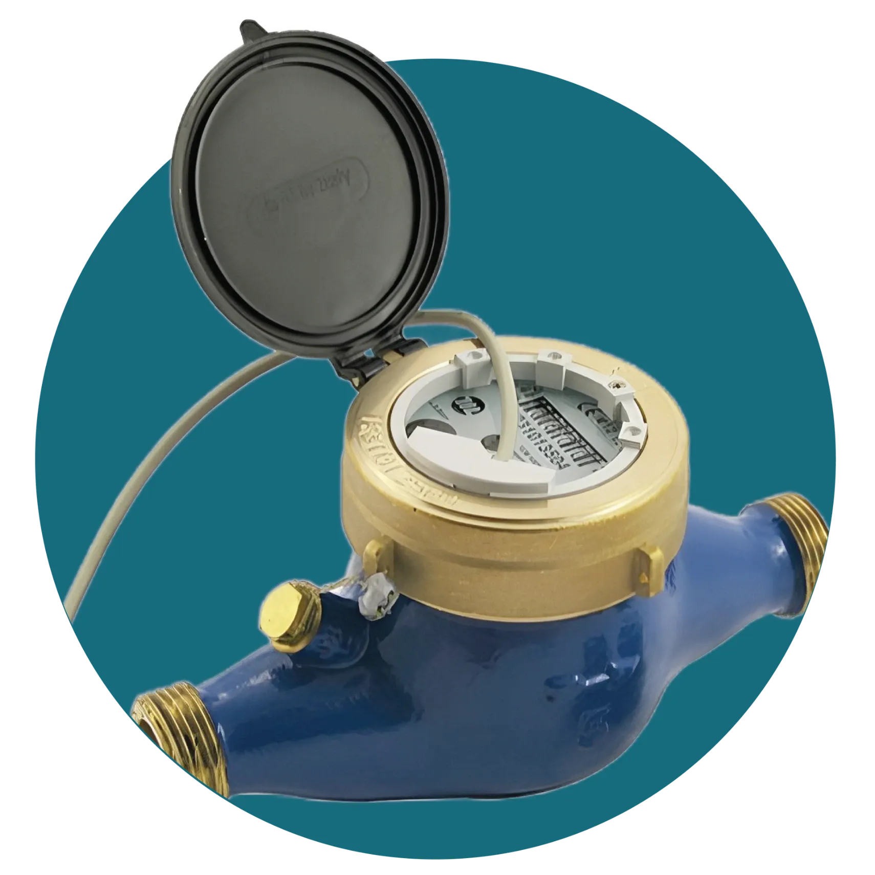 Smart Water Meter