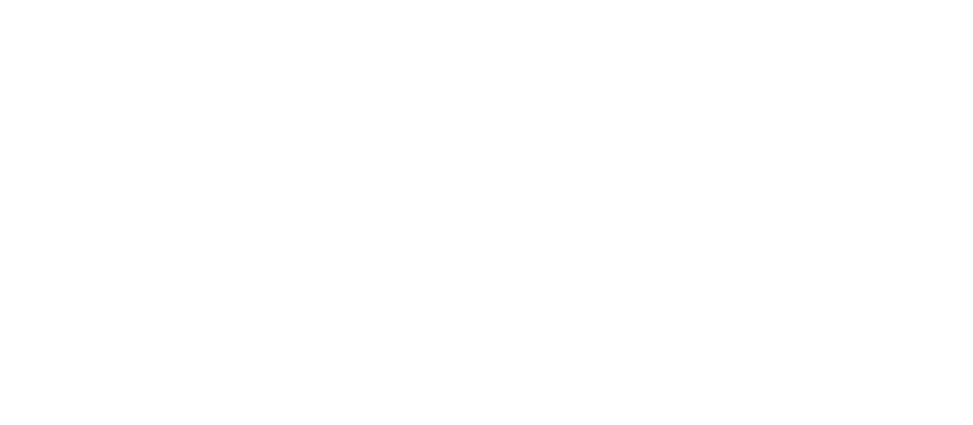 vízion